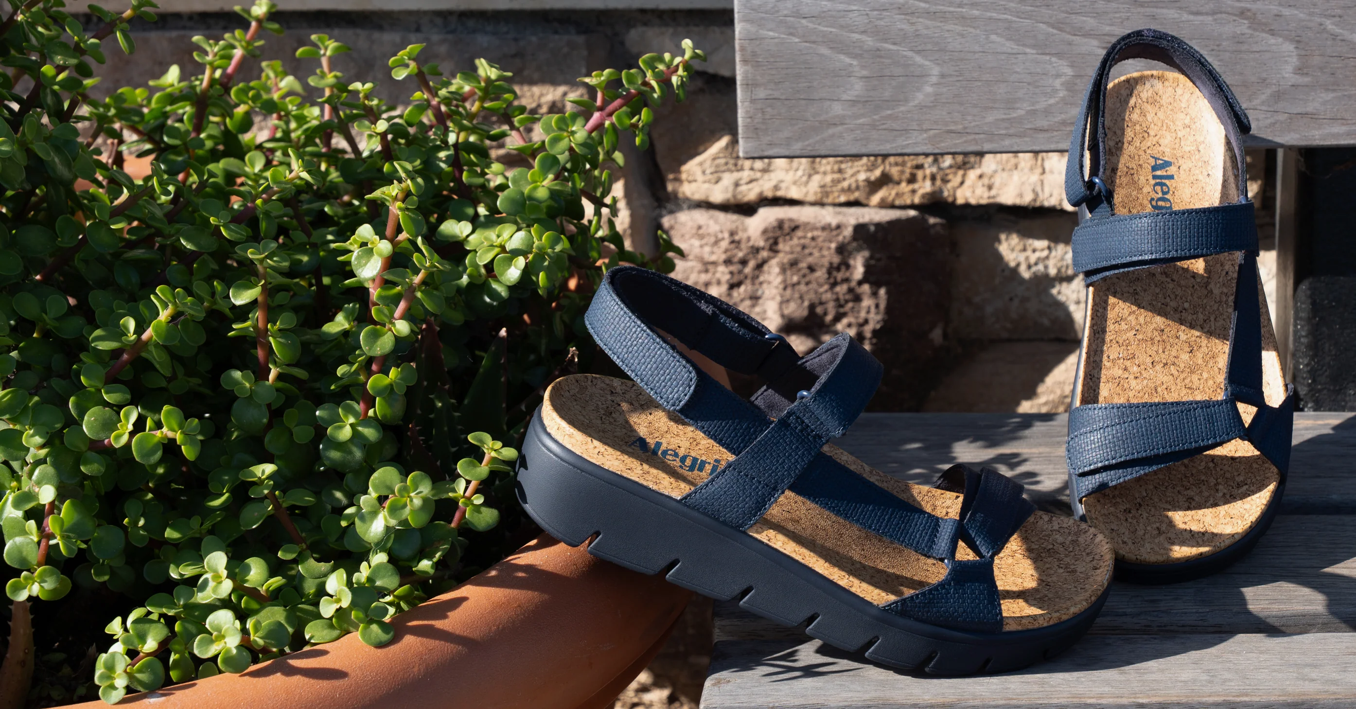 Step Into Unmatched Comfort